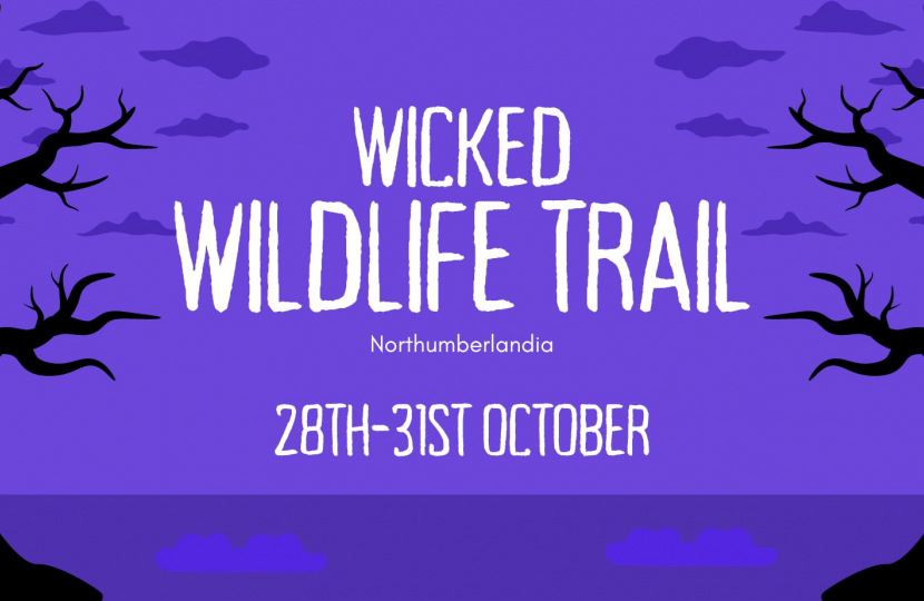 Wicked Wildlife Trail